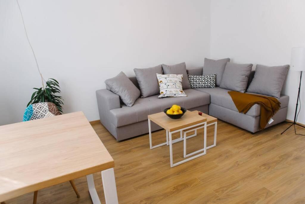 Millennium Bridge Cozy Apartment Top Location 波德戈里察 外观 照片